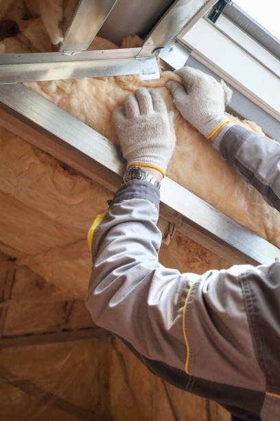 Best Geographic-Specific Insulation Services in Flagstaff, AZ